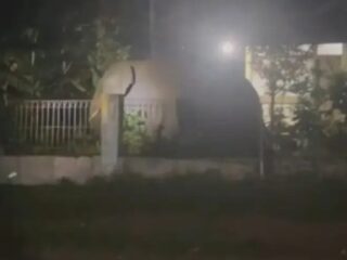 Warga Ketakutan Kawanan Gajah Liar Masuk Pemukiman Warga di Kecamatan Pintu Rime Gayo