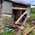 Teror Gajah di Pintu Rime Gayo, Rumah Warga Rusak dan Kebun Porak-Poranda