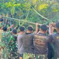 Buka Isolasi Wilayah, Satgas TNI AD Lanjutkan Pembangunan Jembatan Modular Gunung Tua