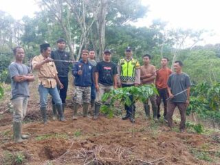 Gajah Liar Kepung Permukiman, Warga Pancar Jelobok Terpaksa Bertindak Secara Swadaya