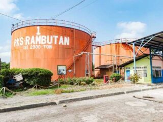 PTPN IV PalmCo Akselerasi Sertifikasi Keberlanjutan, Premium Price Tumbuh Pesat